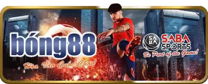Nền tảng bảo mật của WW8